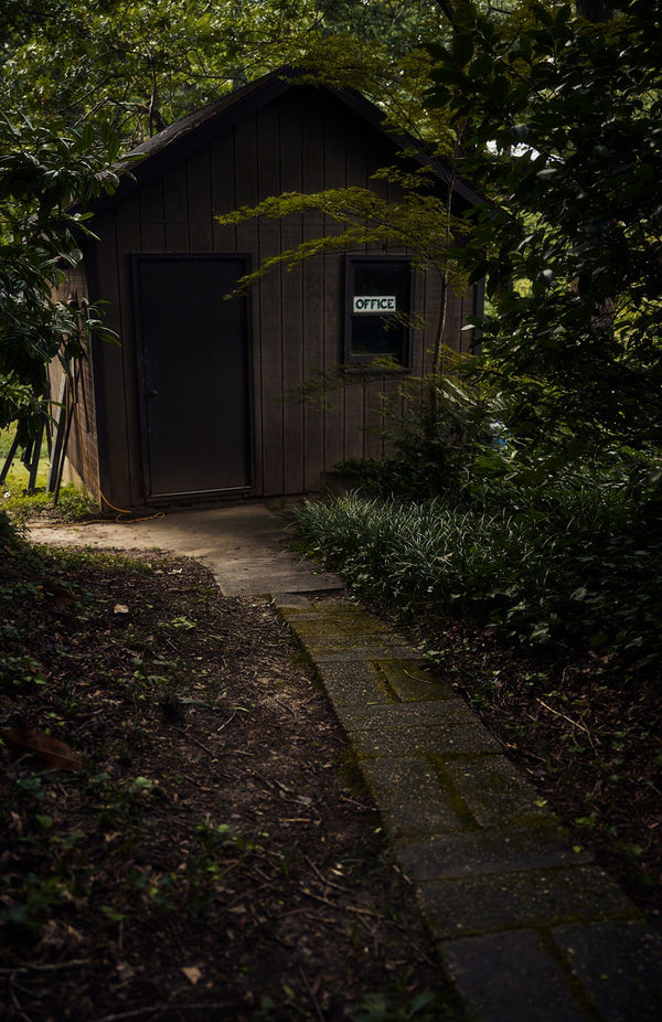 image of office in the woods