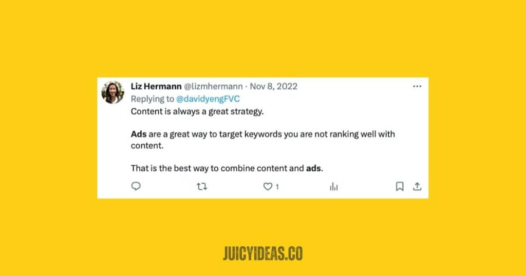 Lukas Hermann SEO and Ads (2)